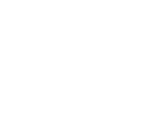 Audeara logo